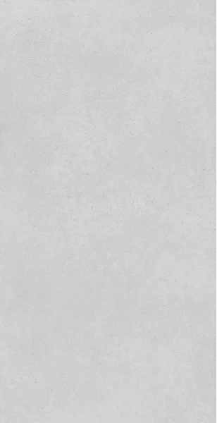 Concrete Expose Light Grey 8144 60x120