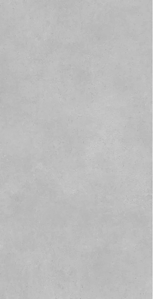 Concrete Expose Grey 8145 60x120