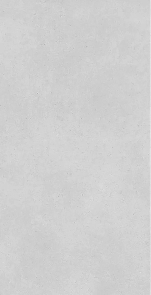 Concrete Expose Light Grey 8144 60x120