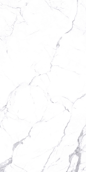 LOGAN POLISHED 80x160