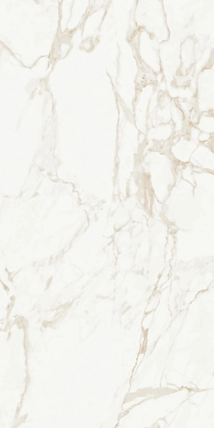Marmo Calacatta Matt 9133 60x120