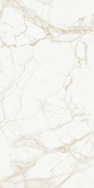 Marmo Calacatta Matt 9133 60x120