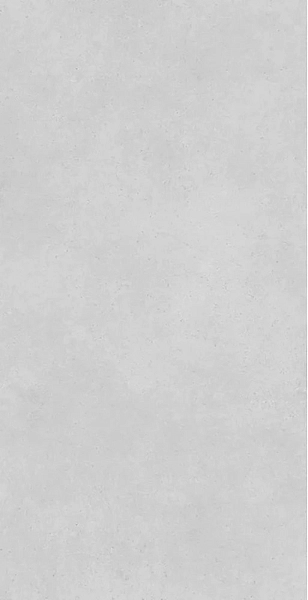 Concrete Expose Light Grey 8144 60x120