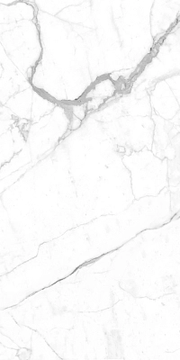 STATAURIO POLISHED 120x300