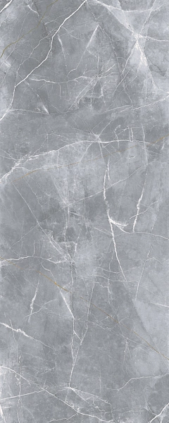 MAXIM LIGHT GRAY Random 120x300
