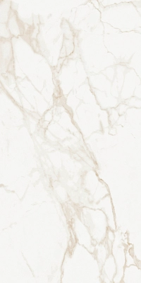 Marmo Calacatta Matt 9133 60x120