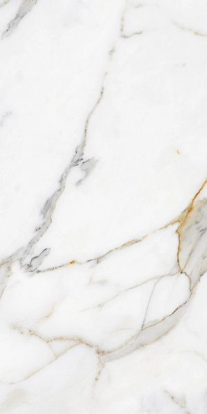 Calacatta Gold 9454 60x120